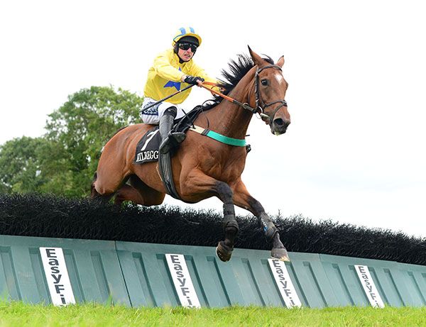 Innisfree Beauty and Jack Foley pictured on their way to victory