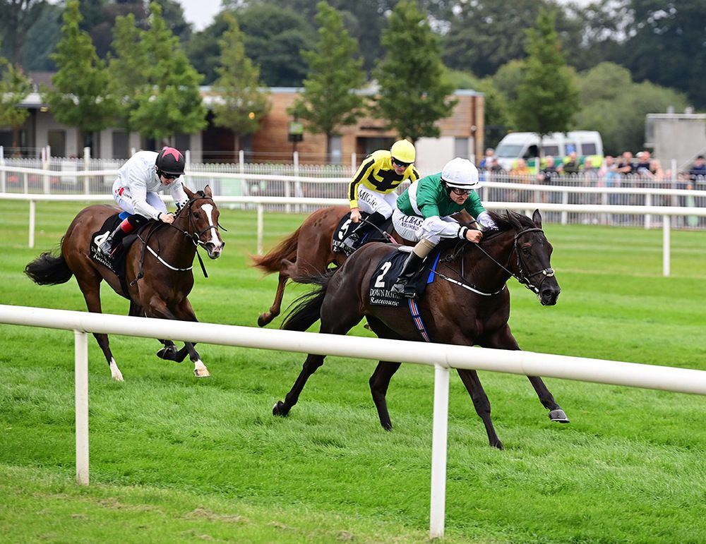 Panic Alarm winning at Down Royal