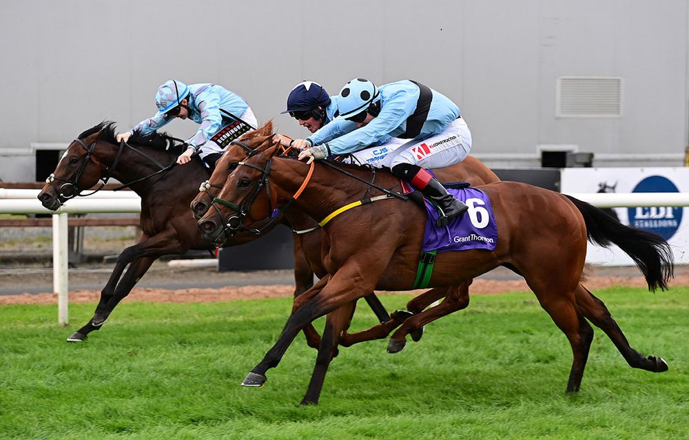 Pub Talk, nearest, beats Distillate, centre, and Approaching Bear 