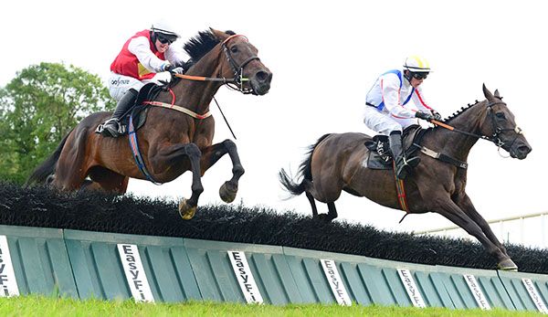 Ballyglass Beauty (far side) jumps the last alongside Menindee