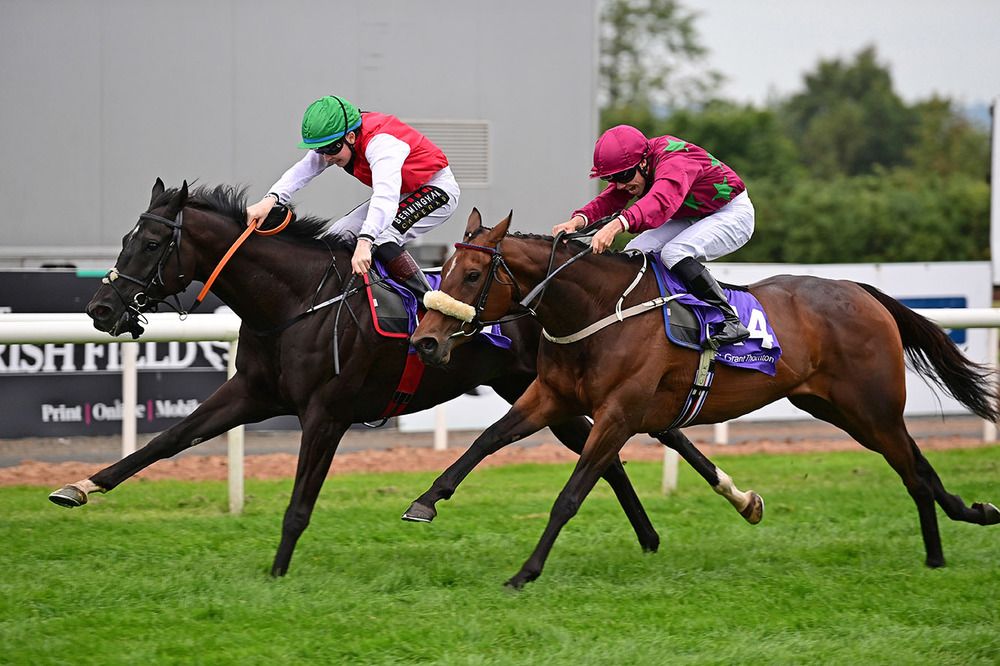 Blackcastle Storm (inside) is ridden out by Jake Coen to see off Yokkell and Jamie Powell