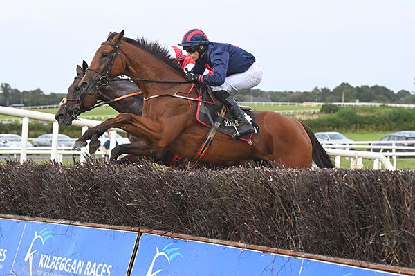 Il Coura jumps to the front at the last under Paddy O'Hanlon