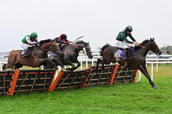 Sean Says & Donagh Meyler clear the last ahead of Florey Spud and the grey Our Bobby 