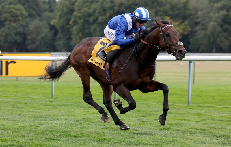 Minzaal winning the Betfair Sprint Cup at Haydock in 2022