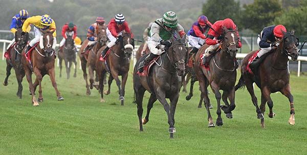 Pretty Rebel leads home her rivals under Daniel King