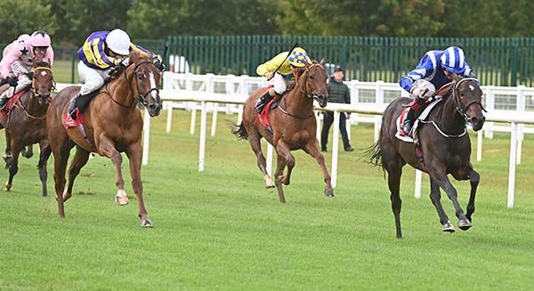 Clevel And Cool (right) is ridden out by Kevin Manning to beat Heartrate (white cap)