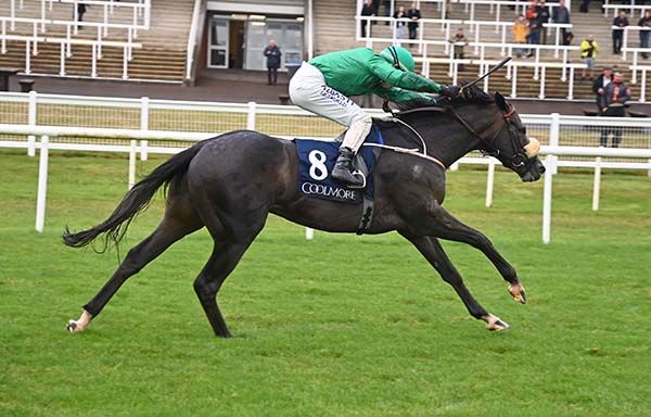 Imadpour is ridden out by Ronan Whelan