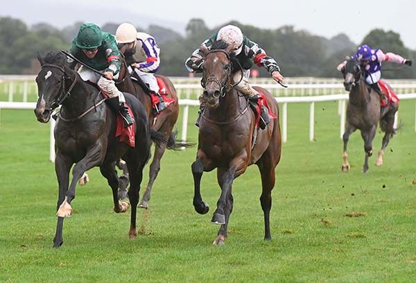 Bossy Park (left) is ridden out by Jamie Powell to beat Spirit Genie and Shane Foley