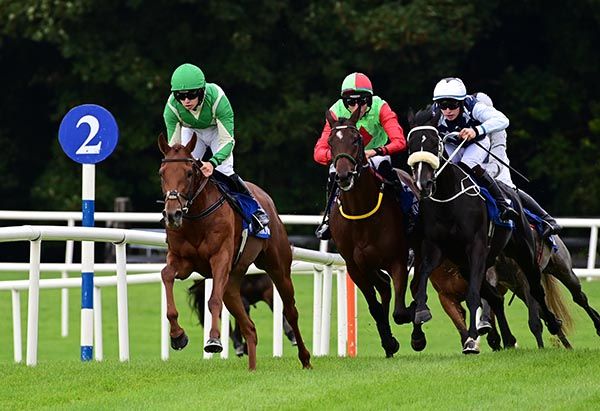 Aghaboy, left, starts favourite backers off with a win