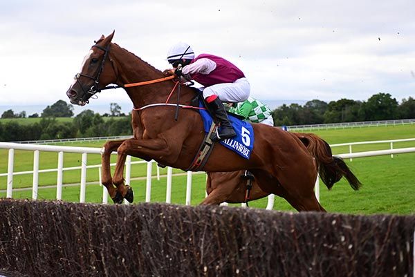 Chief Seattle and Kevin Brouder