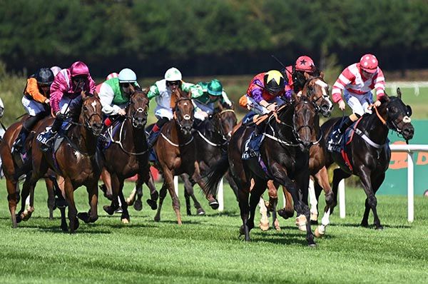 I'm A Gambler (yellow star on cap) hits the front