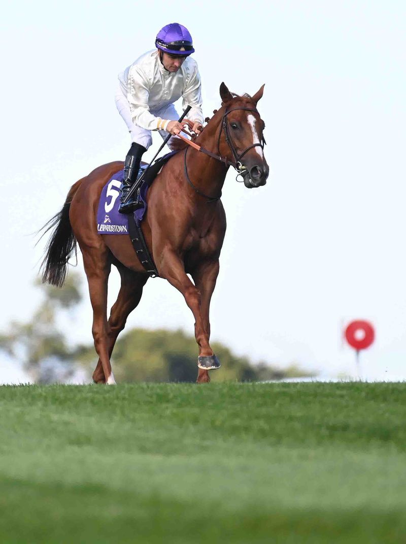 French raider Onesto will bid to improve on last year's second at Leopardstown. 