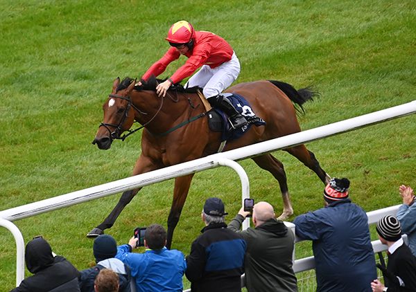 Highfield Princess storms clear under Jason Hart