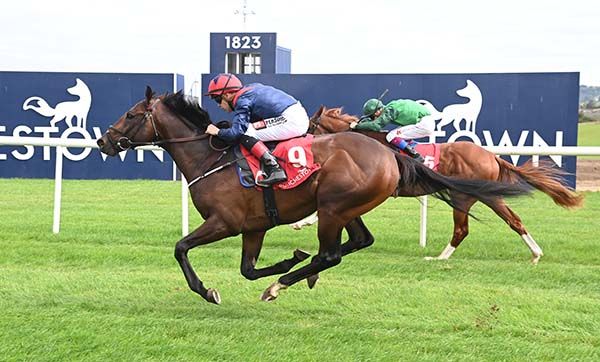 Rothko times his challenge just right