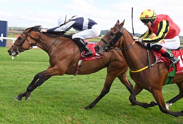 Saturn Five has half a length in hand over Zoffman