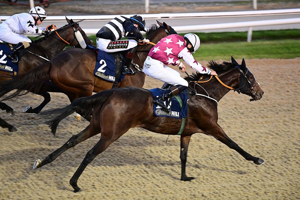 Joupe and Daniel King (nearest) beat Cozone and Arctic Blaze