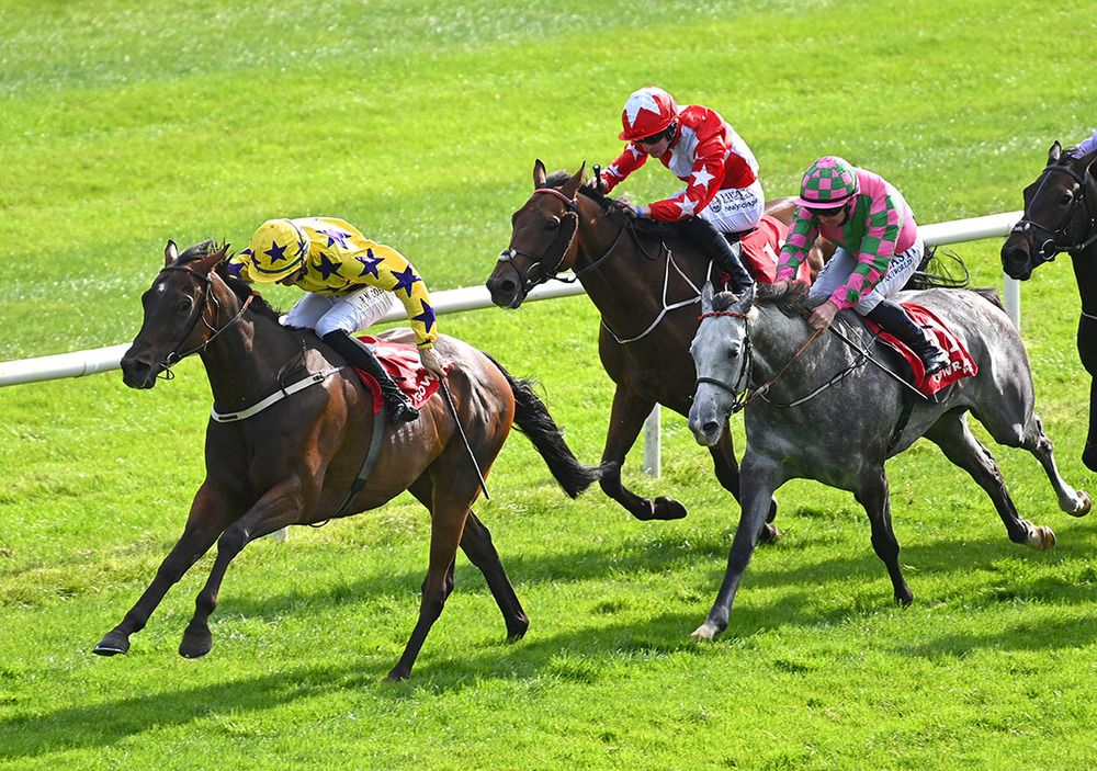 Miracles In May beats the grey Take My Hand 