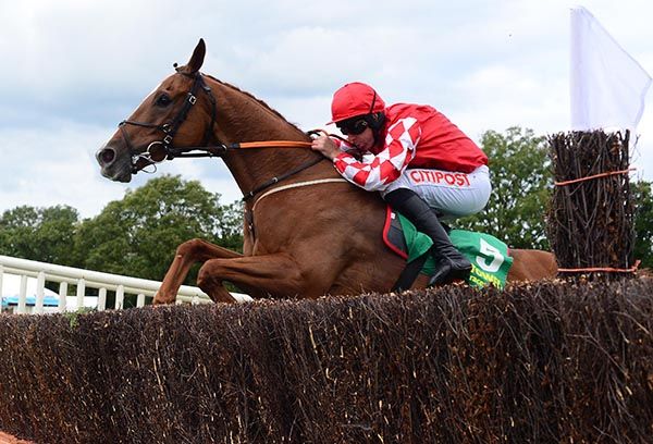 Chemical Energy obliges under Davy Russell