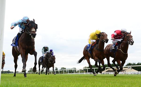 Appproaching Bear (left) holds on