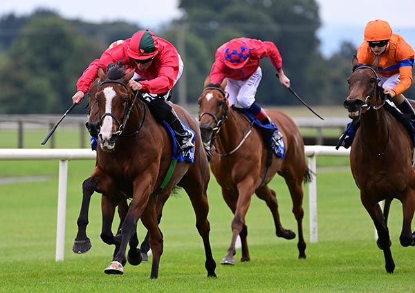 Queens Command (white face)