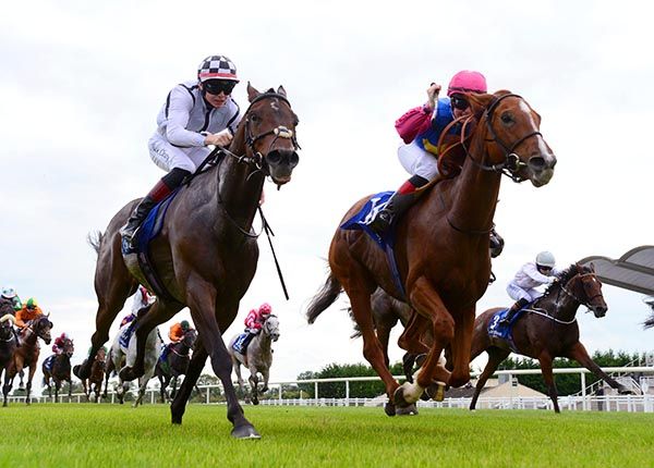 She's In The Game (pink cap) foils Mullacash Buzz