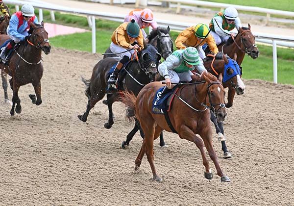 Mehman and Shane Foley stride on