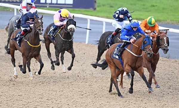 Tawaazon, blue, beats Instrumental into second