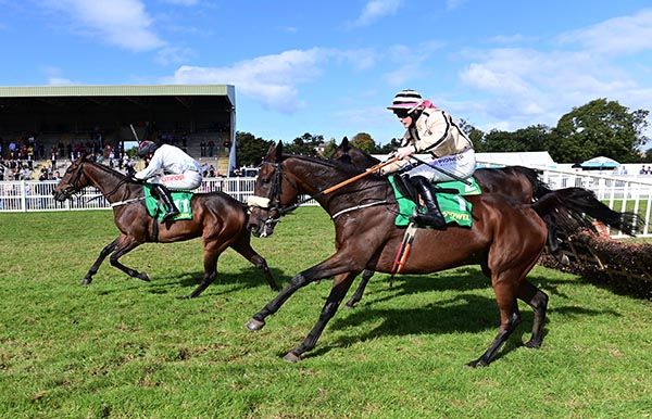 Ambitious Fellow and Sam Ewing survived Listowel scare