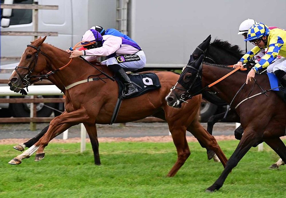 Red Trail (purple and pink)
