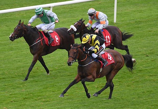 Craft Irish (nearest) leads home Princess Sela (No 8)