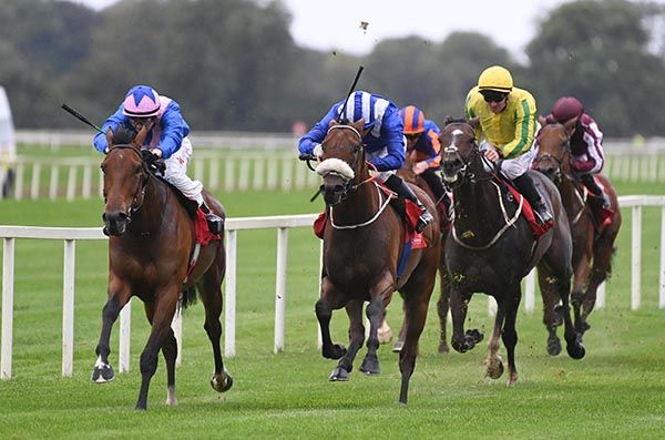 Statement (left) leads home Monaasib (noseband)