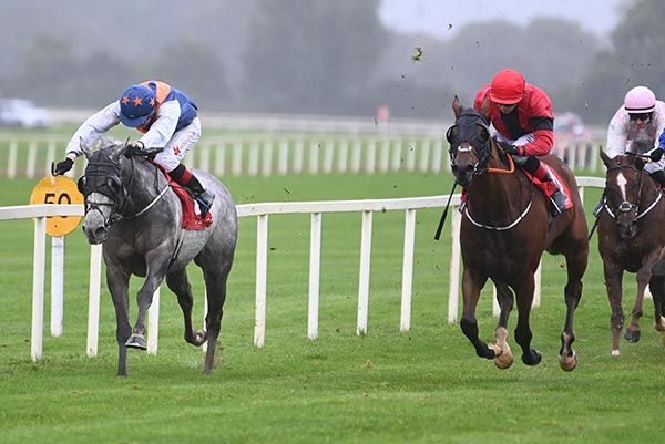 Indiana Grey (left) is ridden out by Dylan Browne McMonagle to beat Skontonovski