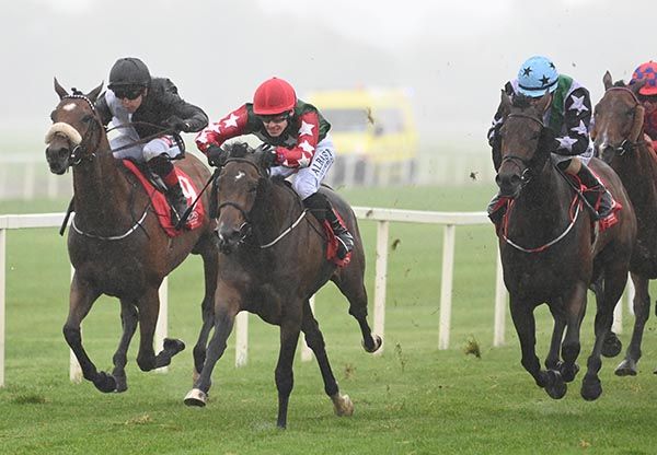 Lucky Queen is ridden out by Luke McAteer (red cap) to win the last at Cork 