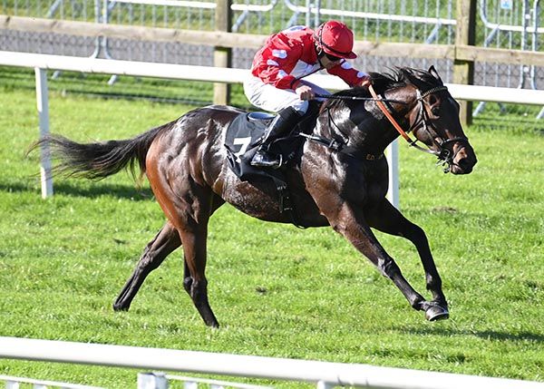 Escaping Thejungle and Wayne Lordan 