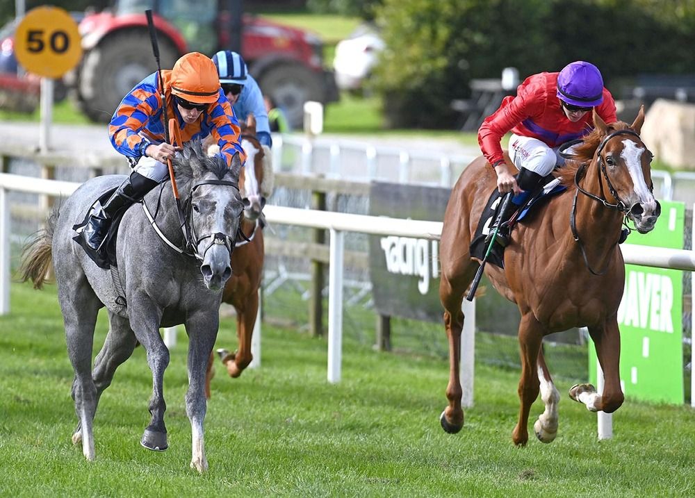 Reigles, left, challenges Pure Circle 