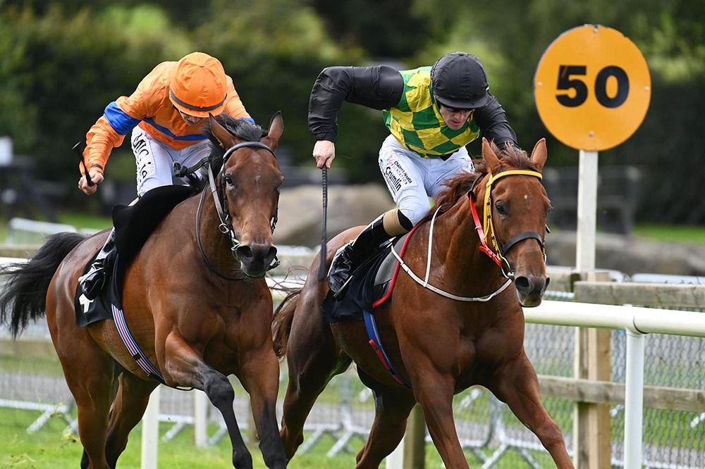 Native Queen, left, finishes best of all