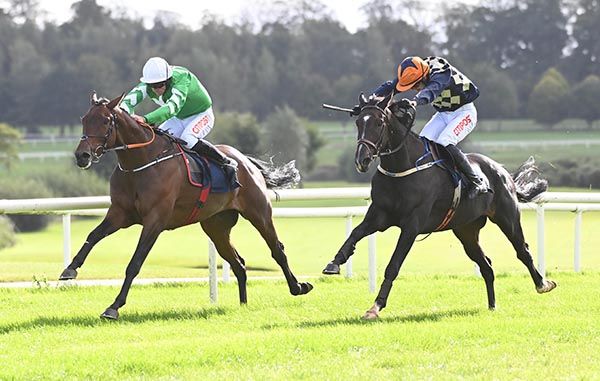 Wellington Hill, right