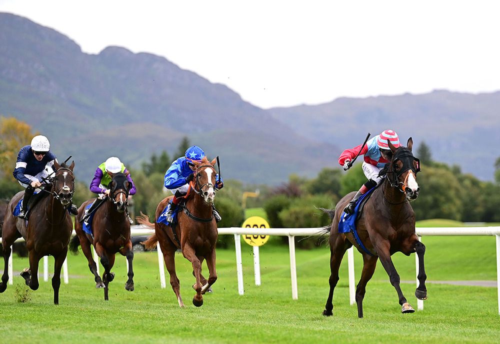 The Vik and Andrew Slattery