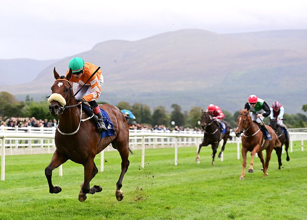 Cosmic Vega bolts up for Ronan Whelan