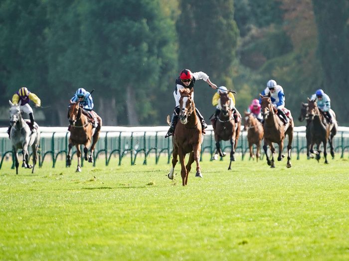 Kyprios veers across the track when clear in the Qatar Prix du Cadran