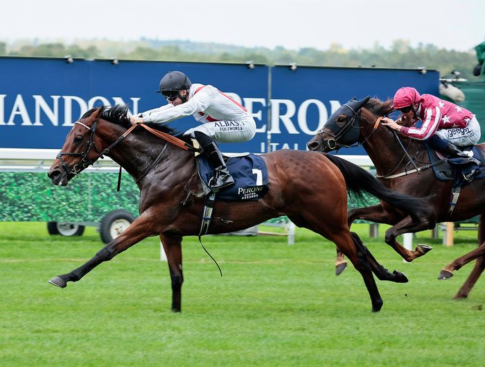 Hamish (Pat Dobbs) winning at Ascot