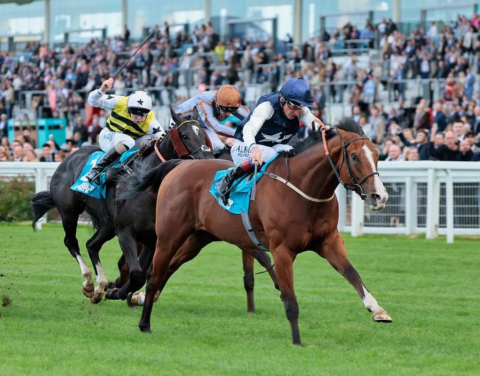 Rohaan will bid for further Group race success at Newbury on Saturday.  