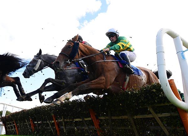 Buttons And Bows and Simon Torrens win at Killarney 