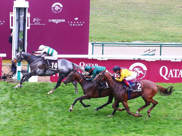 Torquator Tasso, yellow, in third in yesterday's Arc