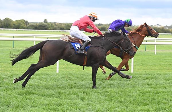 Problem Solver, near side, gets up to deprive A Dublin Job