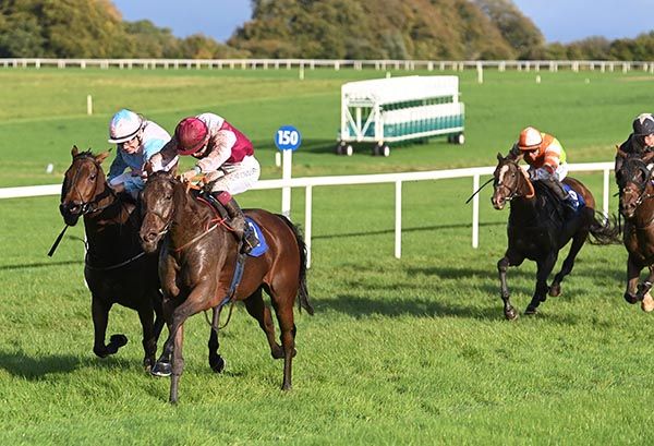 Three Comets and Nathan Crosse (nearest) beat Majestic Jewel