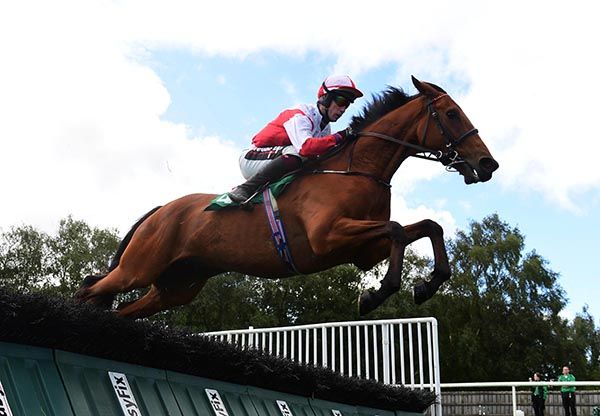 Rodney Bay and J.J. Slevin