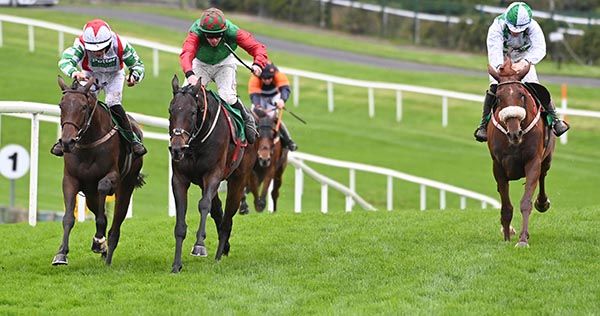 Inclusion, left, beats Sam's Choice, centre, and Ashlia Dancer right 