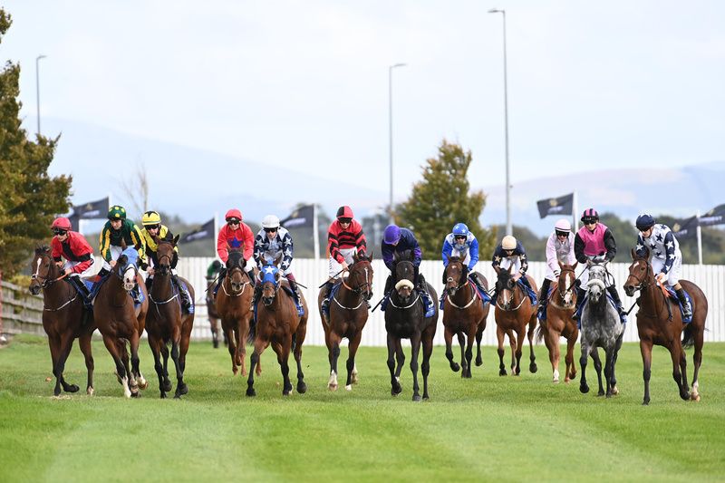 The Curragh 