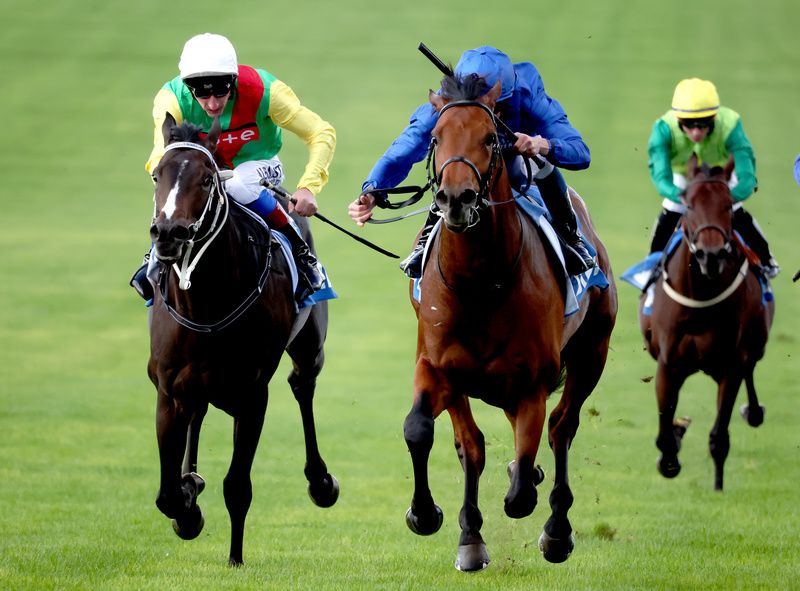 Flying Honours bids to enhance his Derby claims in the Dante Stakes at York. 